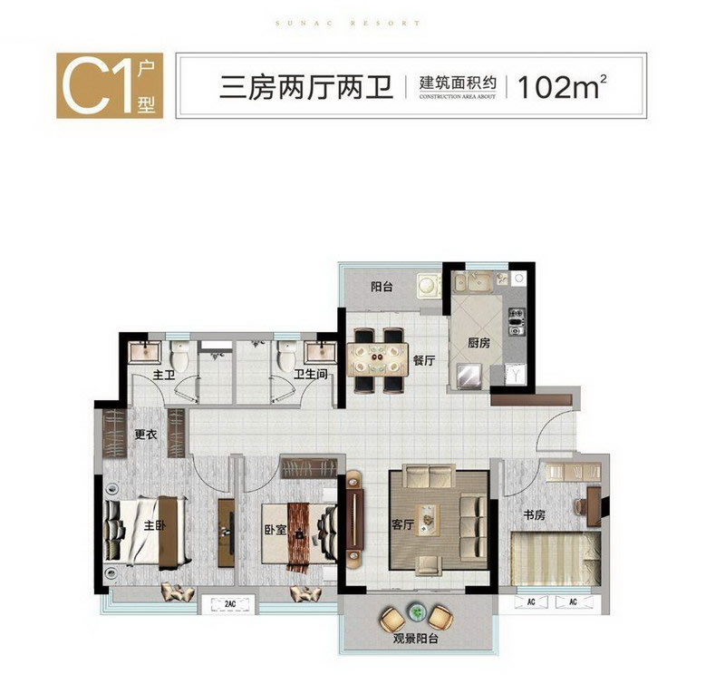 C1ͼ102